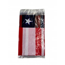 BANDERA CHILENA PLASTICA...