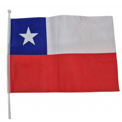 BANDERA GENERO 43X31 UN