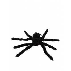 ARAÑA HALLOWEEN UN.